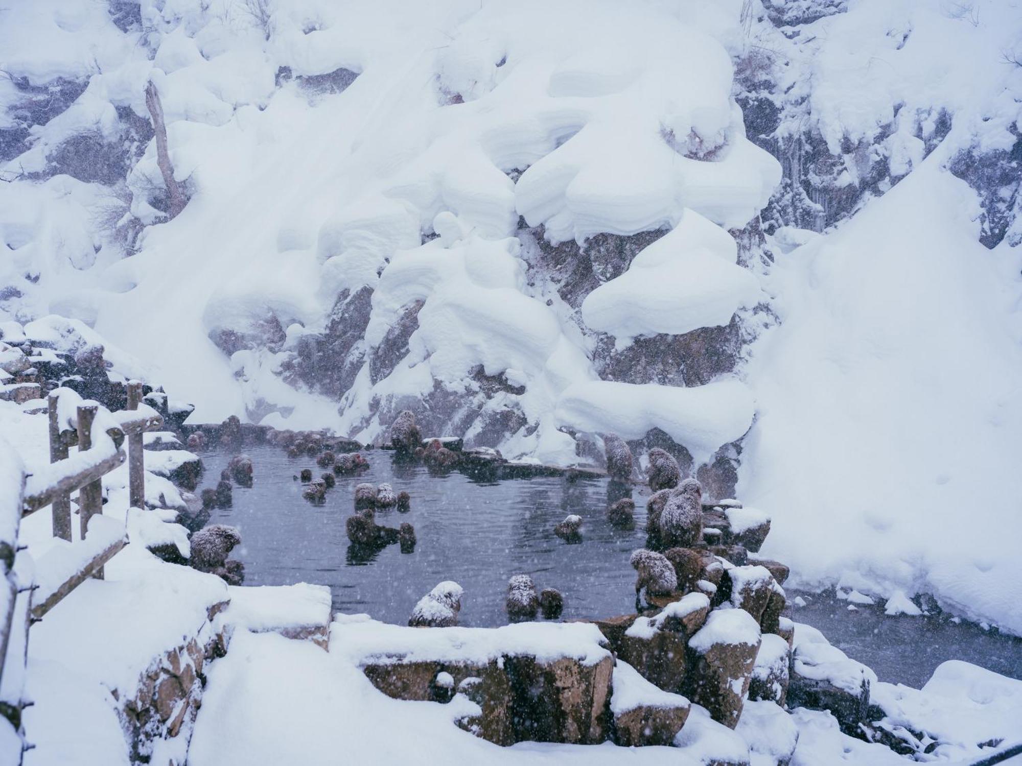 Kidoike Onsen Hotel Yamanouchi  Ngoại thất bức ảnh