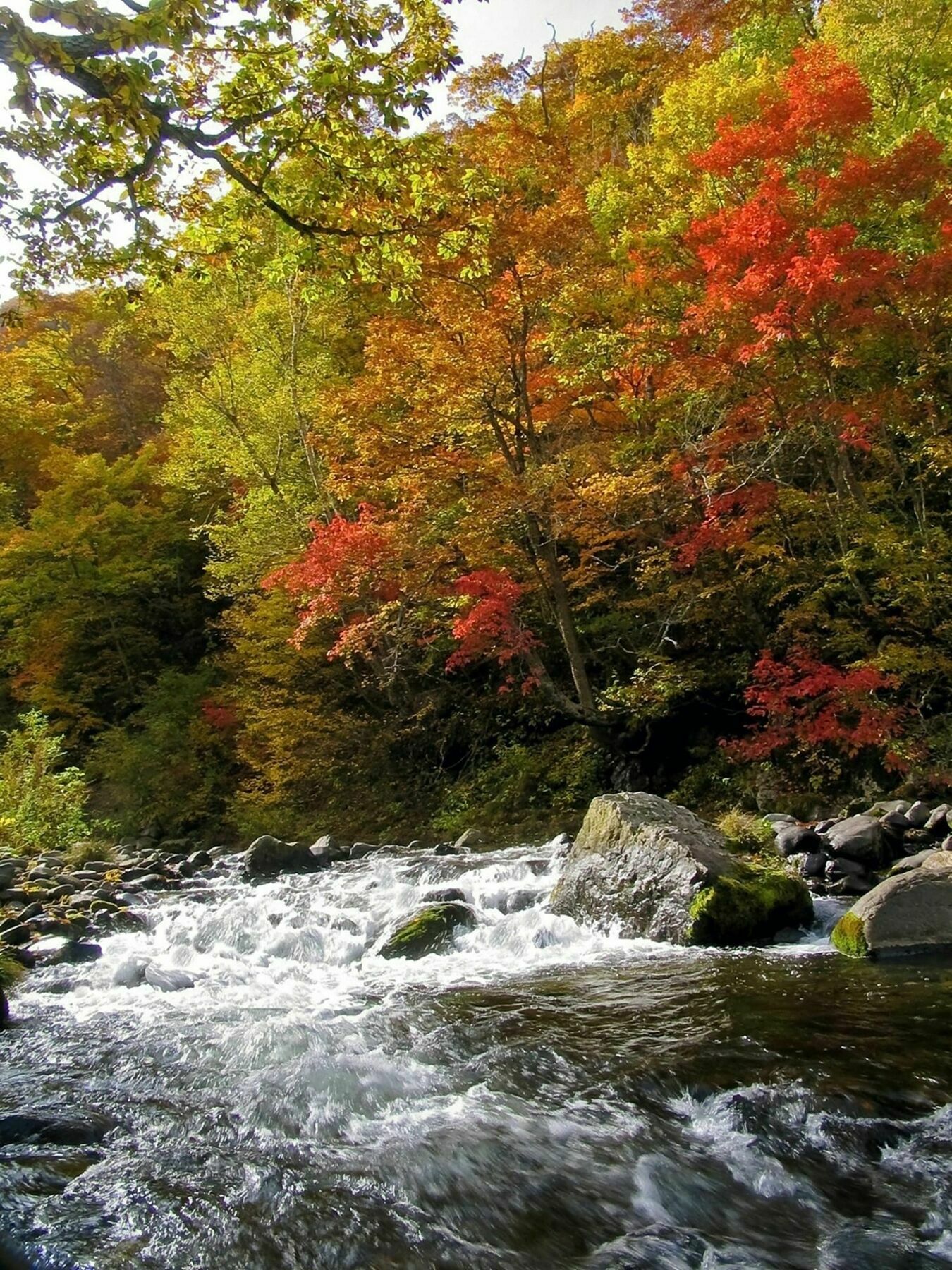 Kidoike Onsen Hotel Yamanouchi  Ngoại thất bức ảnh